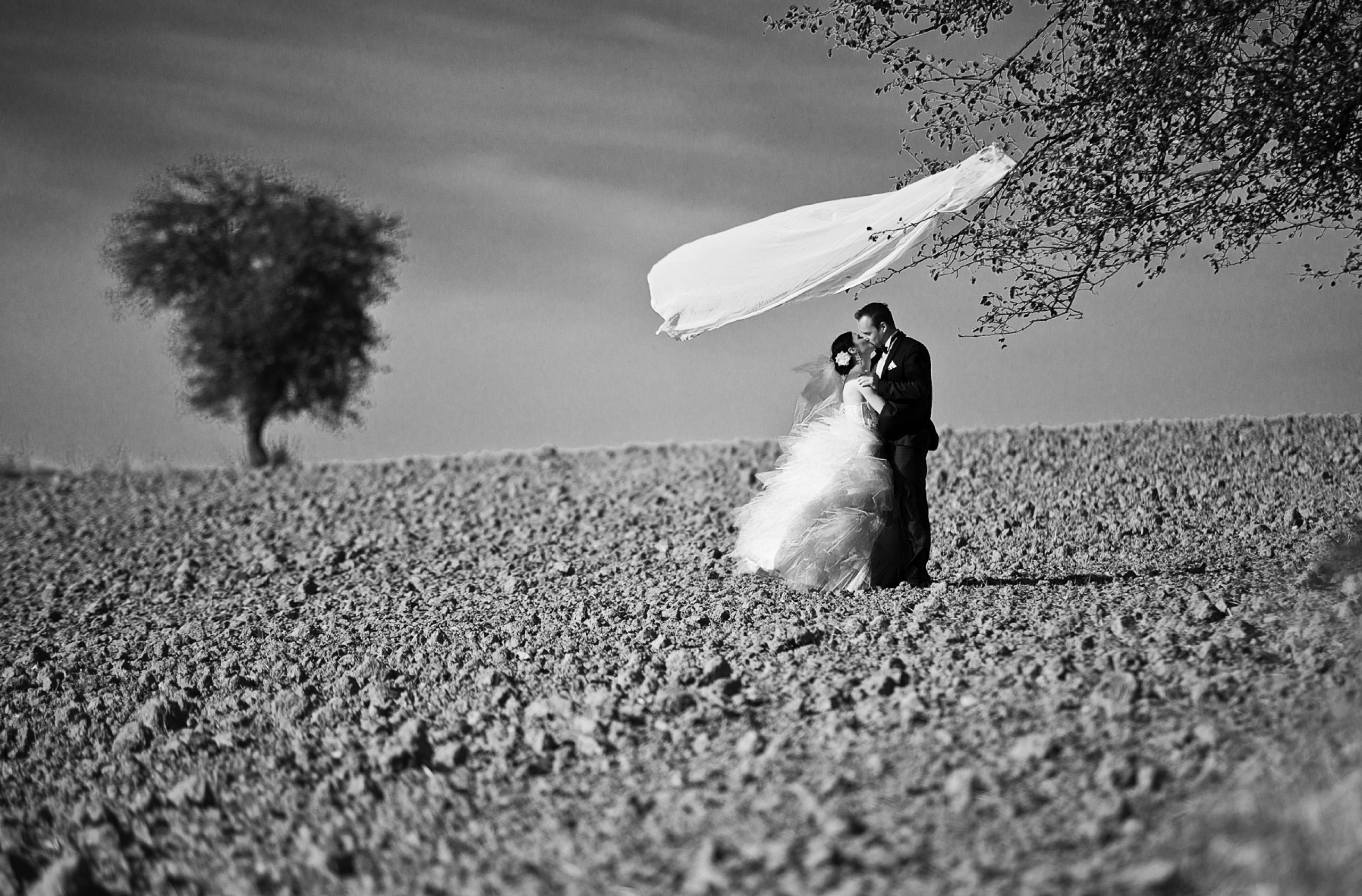 Fotografia ślubna